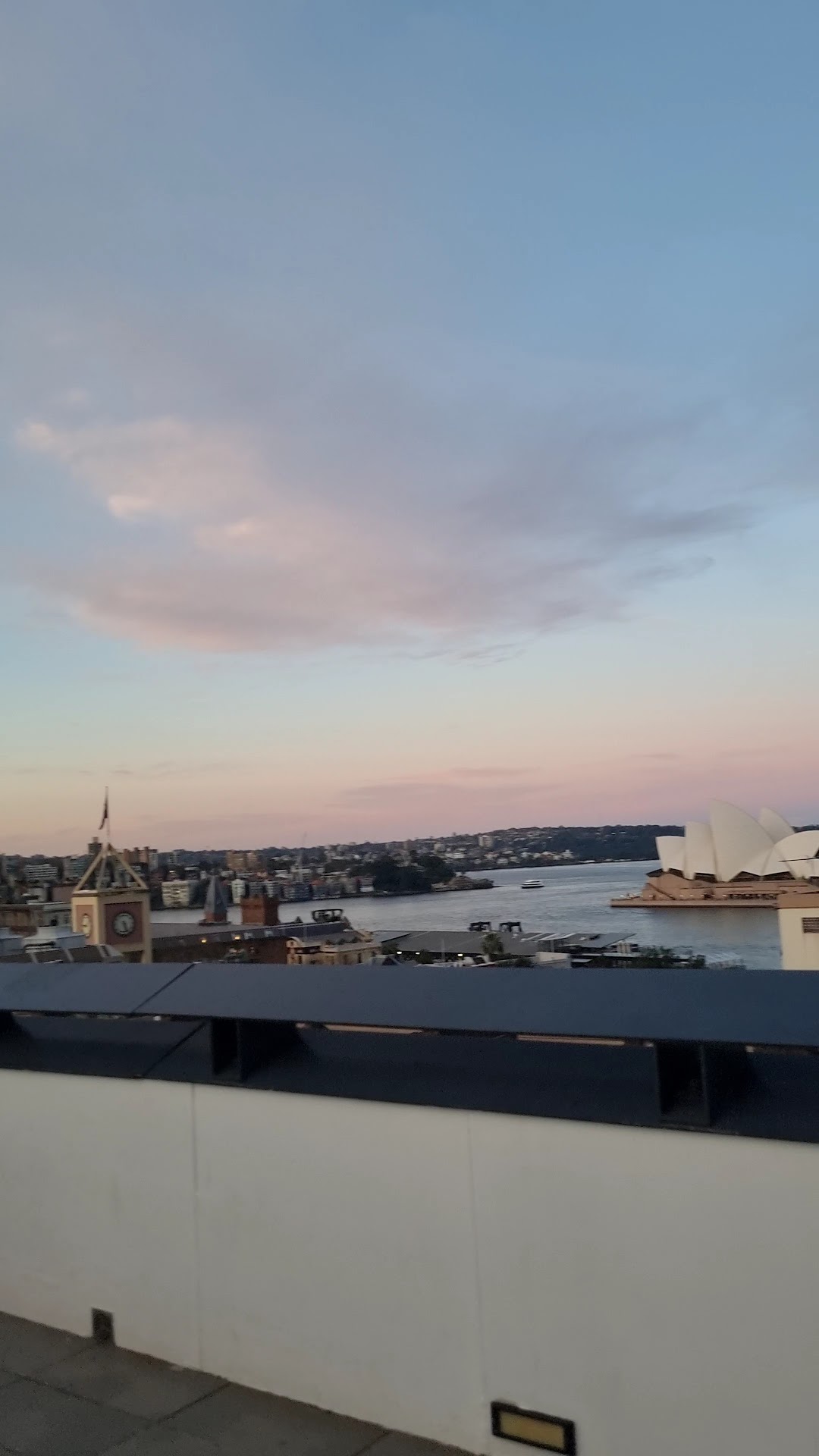Sydney Harbour view in evening light from the YHA rooftop